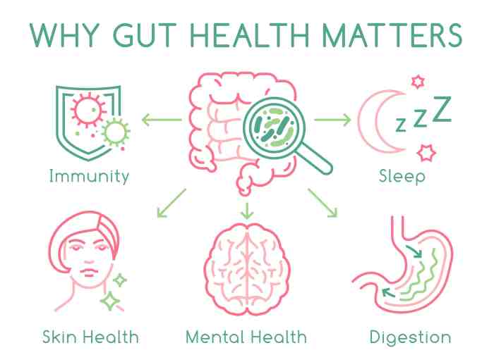 How Does Gut Health Affect Your Body - Reach Out Recovery