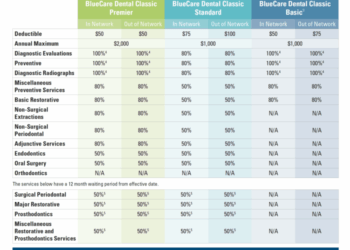 BlueCare Dental Classic℠ for Individuals and BlueCare Vision | Insure ...