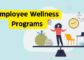 The Impact of Workplace Wellness Programs on Employee Productivity ...