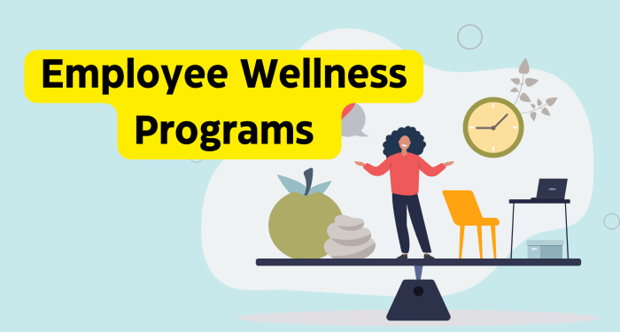 The Impact of Workplace Wellness Programs on Employee Productivity ...