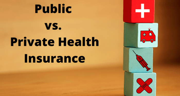 Public vs. Private Health Insurance Health Insurance Providers