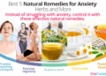 Best 5 Natural Remedies for Anxiety: Herbs and More | SheCares