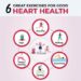 6 Best Heart-Healthy Exercises