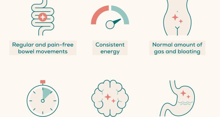 How your gut affects your whole body | Nebraska Medicine Omaha, NE
